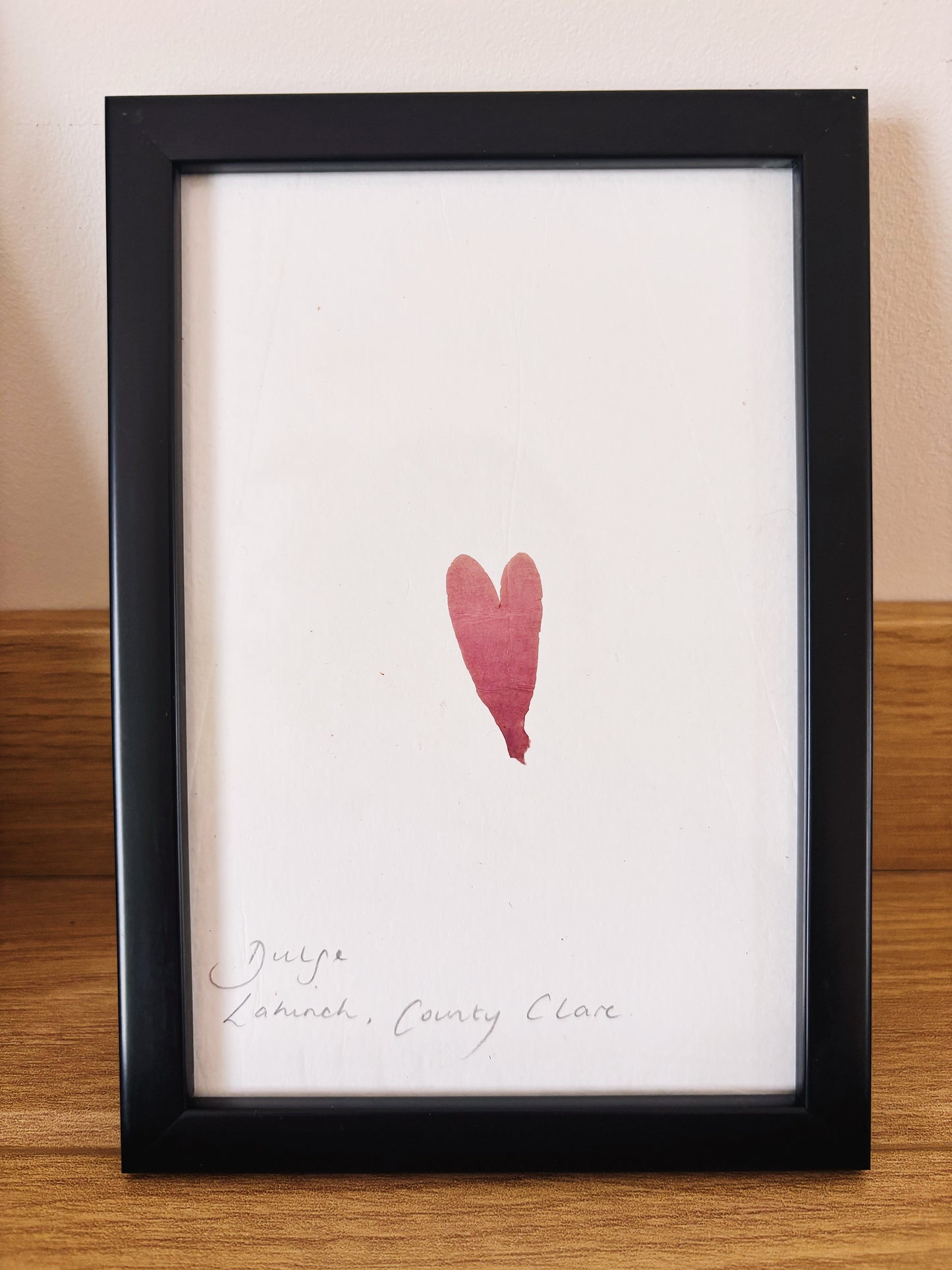 Dulse, Lahinch, County Clare - Small framed original pressed seaweed